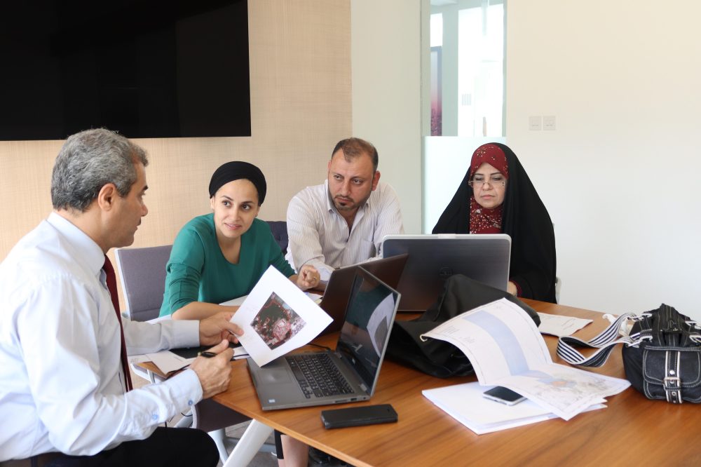 Strengthening Capacities of World Heritage Professionals in the Arab Region for Cultural and Mixed sites