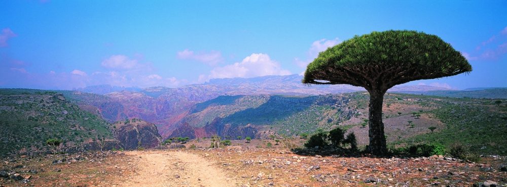 The Soqotra Heritage Project “Integrating Cultural Heritage into Conservation and Development Planning on Soqotra” Final Workshop of Project Phase I