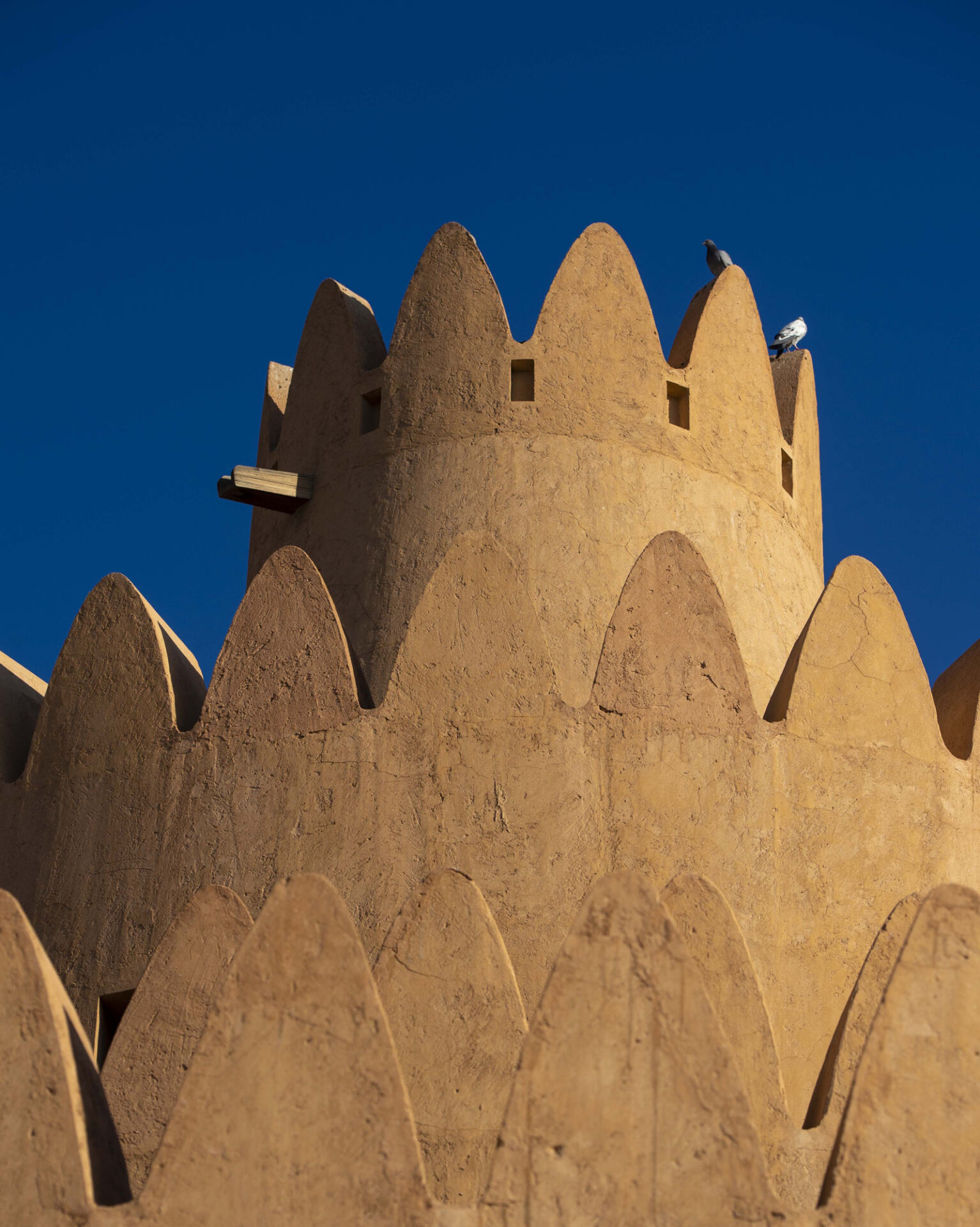 حماية التراث  للأجيال القادمة