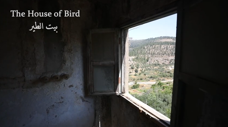 House of a Bird film by Mustafa Al Baddan