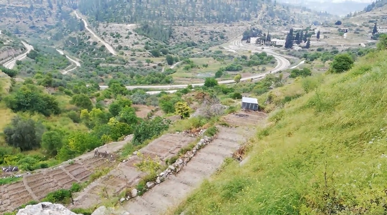 فلسطين: بلد الزيتون والكرمة - تقرير إدارة الموقع خلال جائحة كوفيد-19