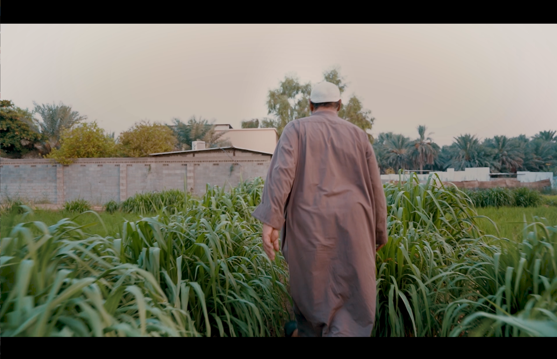 فيلم واحة الروح | Oasis of the Soul Film