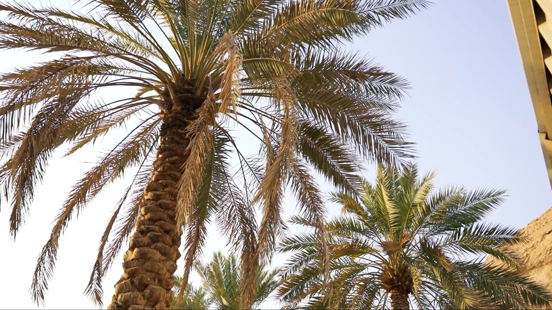 فيلم أنا حساوي | I am Hassawi Film